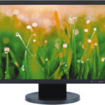 NEC AS222WM LCD Desktop Monitor, 22" FHD W-LED Display, 250 cd/m Brightness, Widescreen with Built-In Speakers, 5 ms Response Time, Black | AS222WM